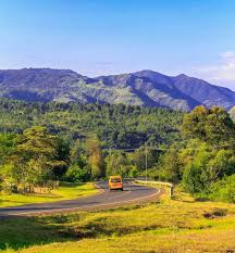 Government Partnerships